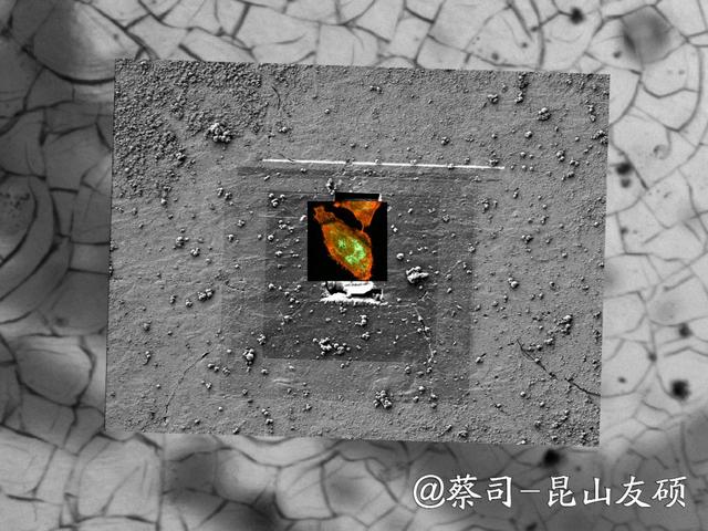 抚顺抚顺蔡司抚顺扫描电镜