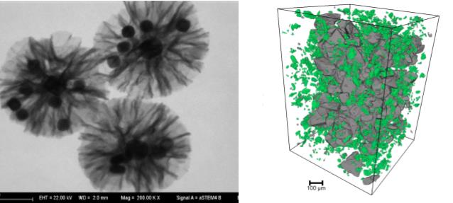 抚顺抚顺蔡司抚顺扫描电镜